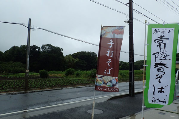 スタイリッシュのぼりとのぼりの比較