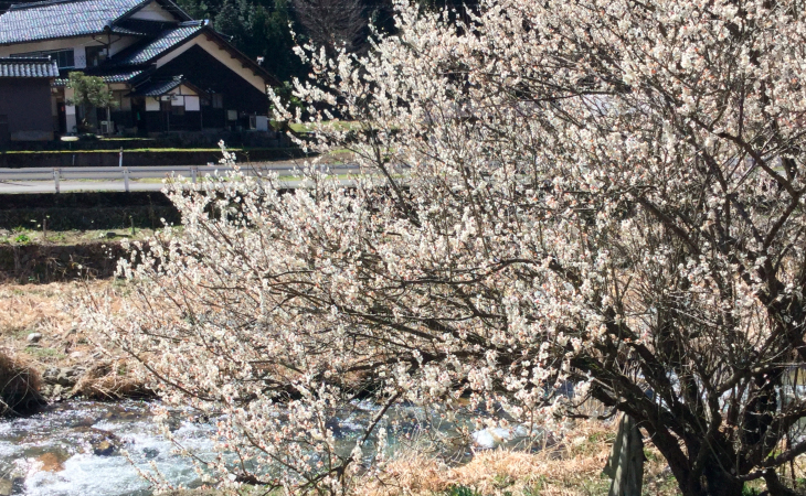春先のドライブの景色