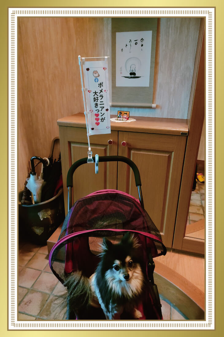 匿名希望様 ミニのぼり写真
