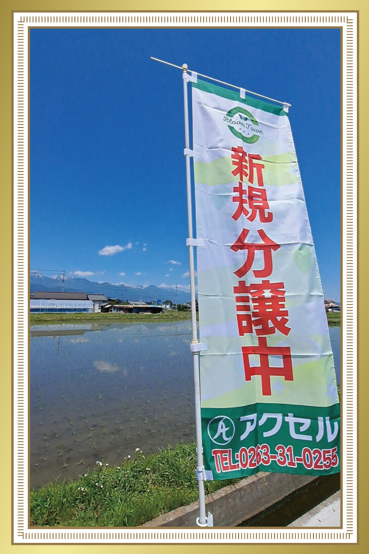 株式会社アクセル 様ののぼり旗