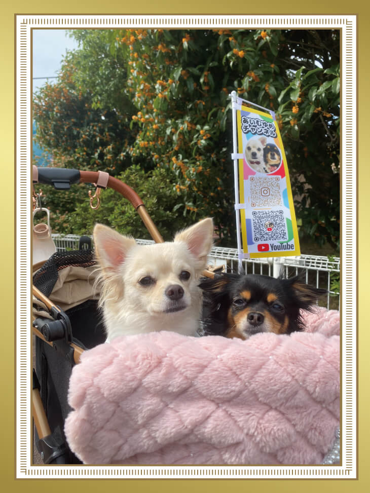 ���������̗��ʈ���~�j�̂ڂ�