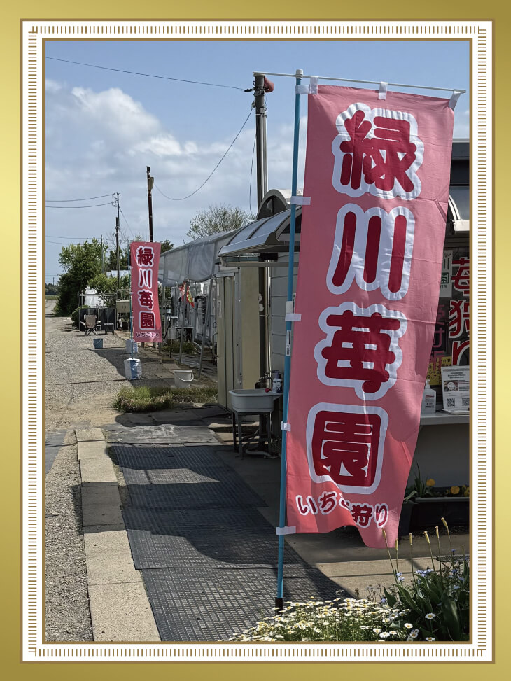 苺園ののぼり旗