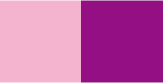 ピンク×紫